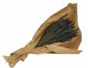 Nothing brings back the feeling of Provence then the scent of lavender. Our dried hidecote lavender bundles, grown here in the US can fill your home with the allure of Provence. Our certified organic oversized lavender bundles contain 100-200 stems approximately. They are dark in color, excellent in arrangements, beautiful for crafting.